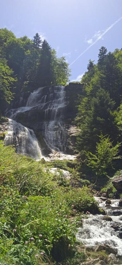 Studio Le Mont Beas Aulus-les-Bains Eksteriør bilde